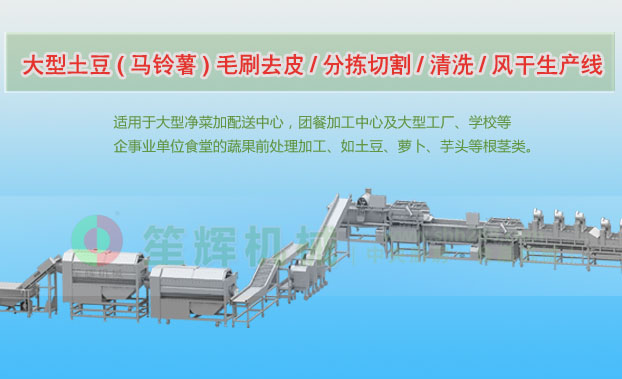 西充连续式土豆去皮清洗切割风干生产线